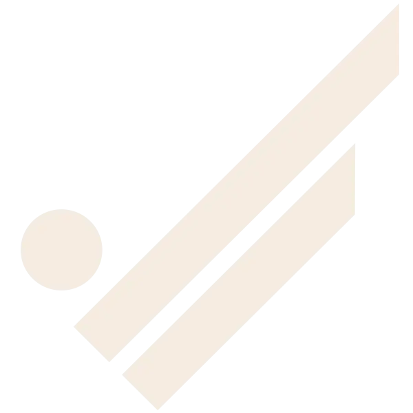 vp-symbol-light